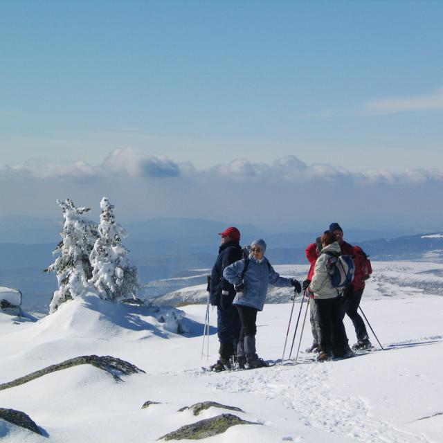 randonnée en raquettes à neige