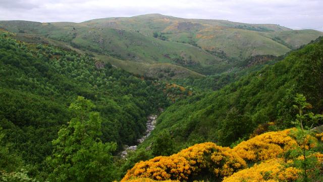Pic de Finiels sur le Mont-Lozère