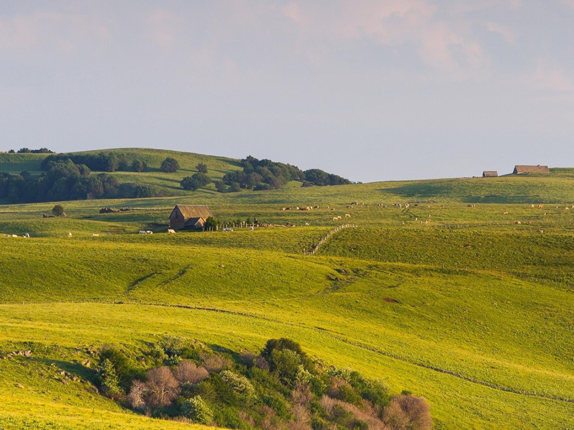 aubrac-plateau-de-p-turage-en-massif-central-paysage-vue-magnifique