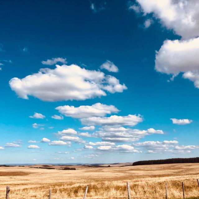 Instagram #aubrac