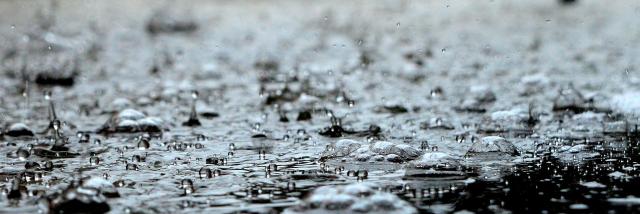 pluiesourabh-yadav-pixabay.jpg