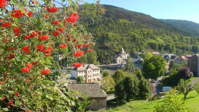 Bagnols Bains 1© D