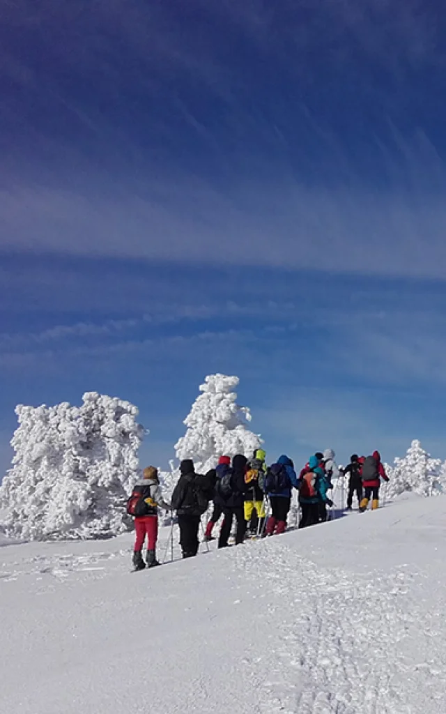 Rando Raquettes en Hiver en Lozère