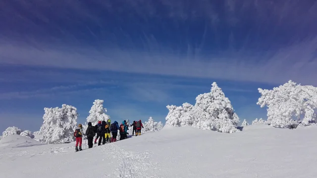 Rando Raquettes en Hiver en Lozère