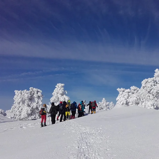 Rando Raquettes en Hiver en Lozère