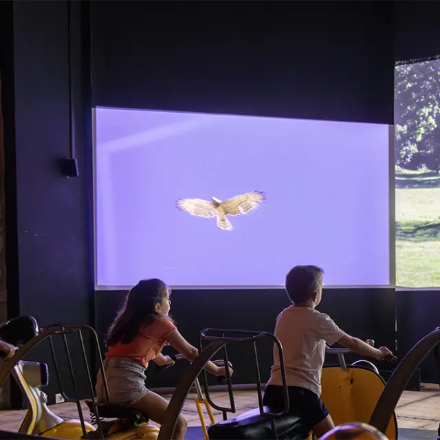 Scénovision de Saint-Alban sur Limagnole (48)