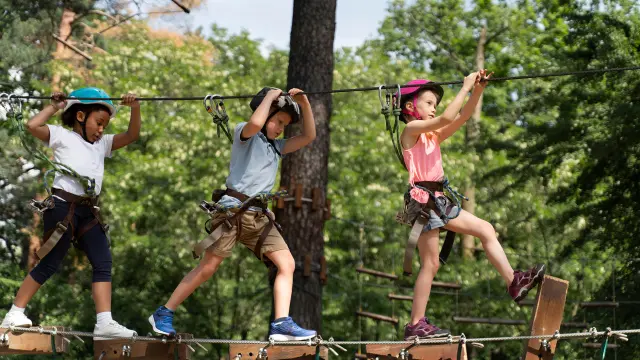 Enfants courageux sur un parcours accrobranche