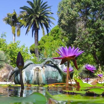 Menton a city of art and history | Menton, Riviera & Merveilles Tourist ...