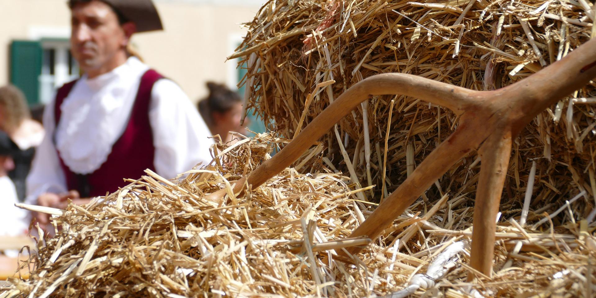 Fête de l'orme à Gorbio