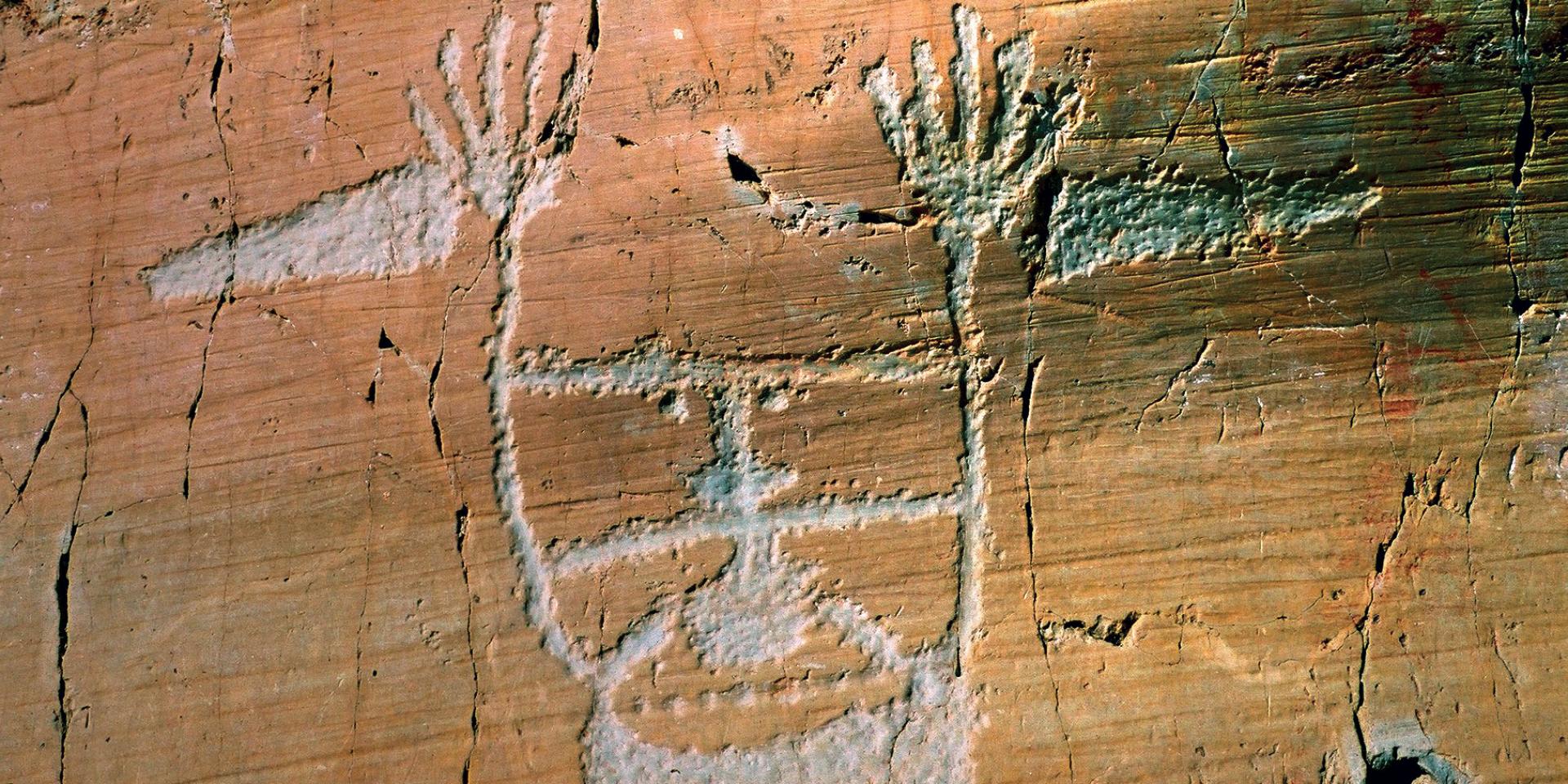 Le Sorcier Vallee Des Merveilles Drone De Regard