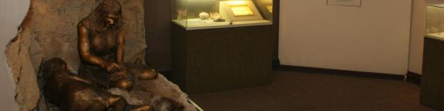 menton-musee-prehistoire-interieur-tiphaine-jacquin.jpg