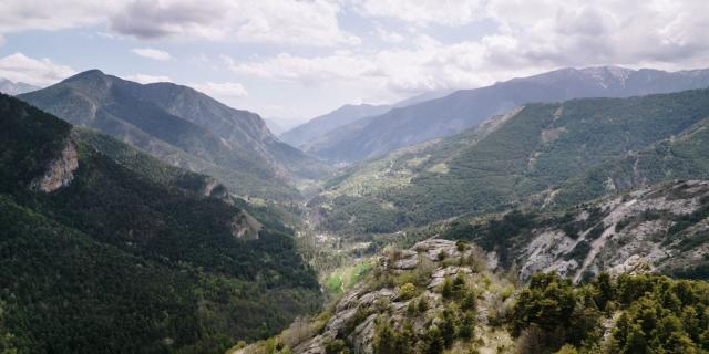 Vallee