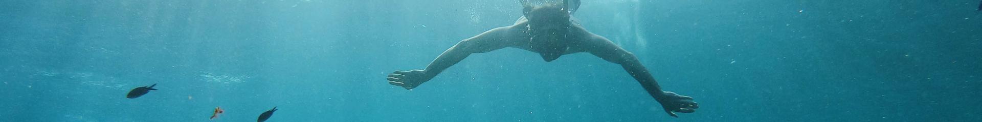 Plongée dans la mer Méditerranée.JPG