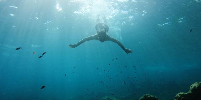Plongée dans la mer Méditerranée.JPG