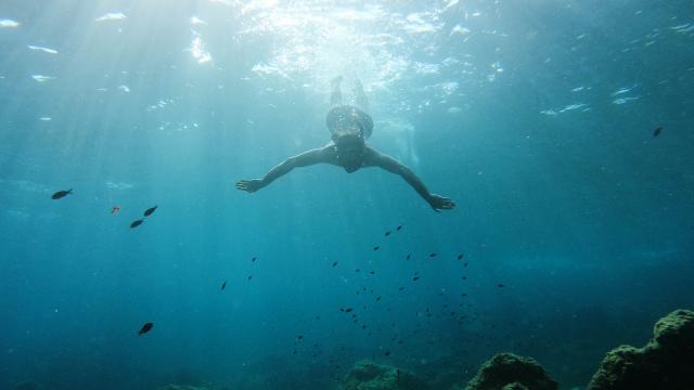 Plongée dans la mer Méditerranée.JPG