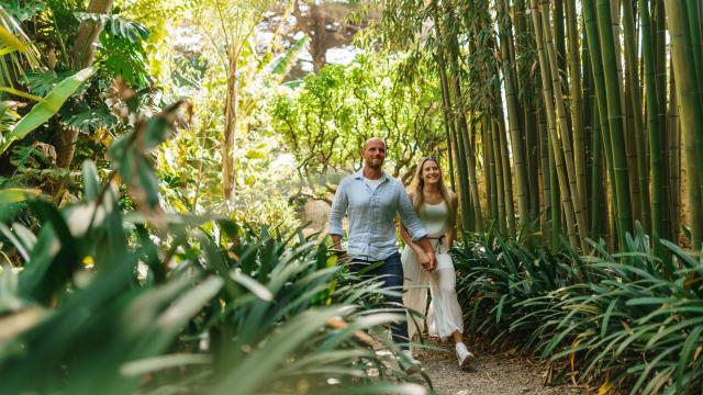 Un couple au Jardin du Val Rahmeh à Menton