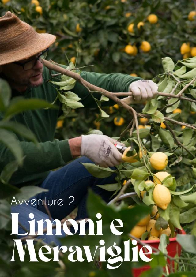 Avventure 2 citrons et merveilles italien