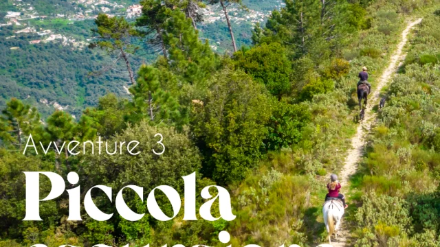 Avventure 3 balade ânes italien