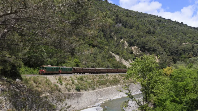Damien Viano Facebook Trains Daqui