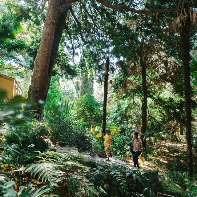 Jardin Serre De La Madone Menton Pango Visual 1