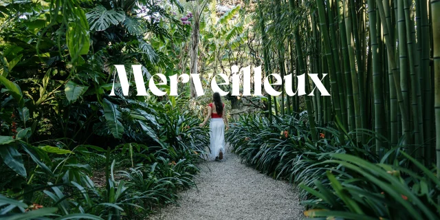 Merveilleux Les jardins botaniques de Menton