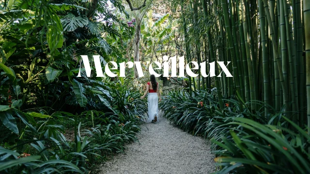 Merveilleux Les jardins botaniques de Menton