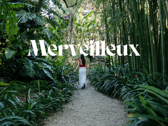 Merveilleux Les jardins botaniques de Menton