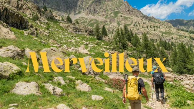 Wunderbar Die Rätselhaften Gravuren Im Tal Der Wunder