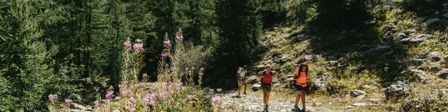 Vallee De La Valmasque Parc National Du Mercantour Pango Visual 1 Min
