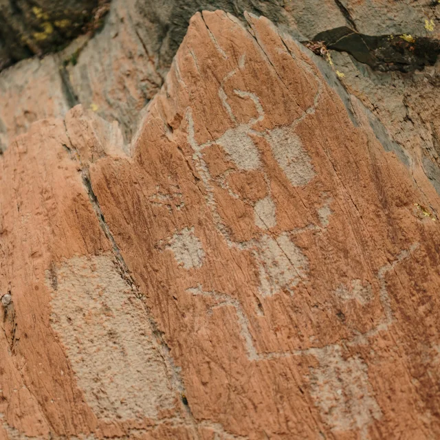 Visite Guidee Gravures Rupestres Vallee De Fontanalbe Parc National Du Mercantour Pango Visual