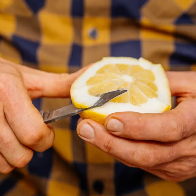 Domaine De La Maison Gannac Menton Lesconteurs