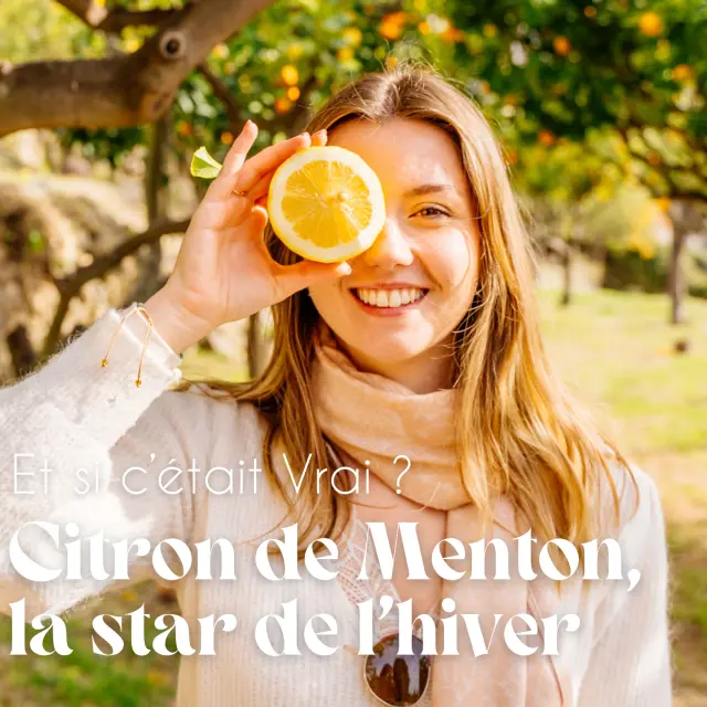 Le Citron De Menton Merveilleux