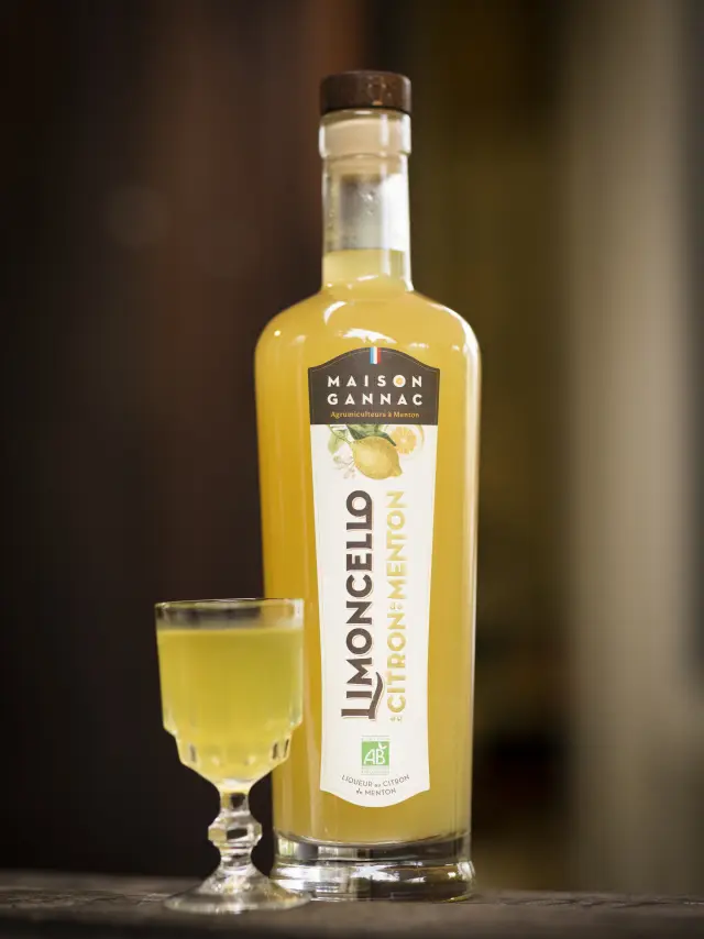 Maison Gannac Menton Remy Cortin