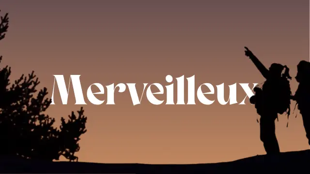 Observation De La Nature En Hiver Merveilleux 1