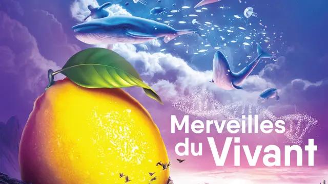 Affiche Fete Du Citron Menton 2026