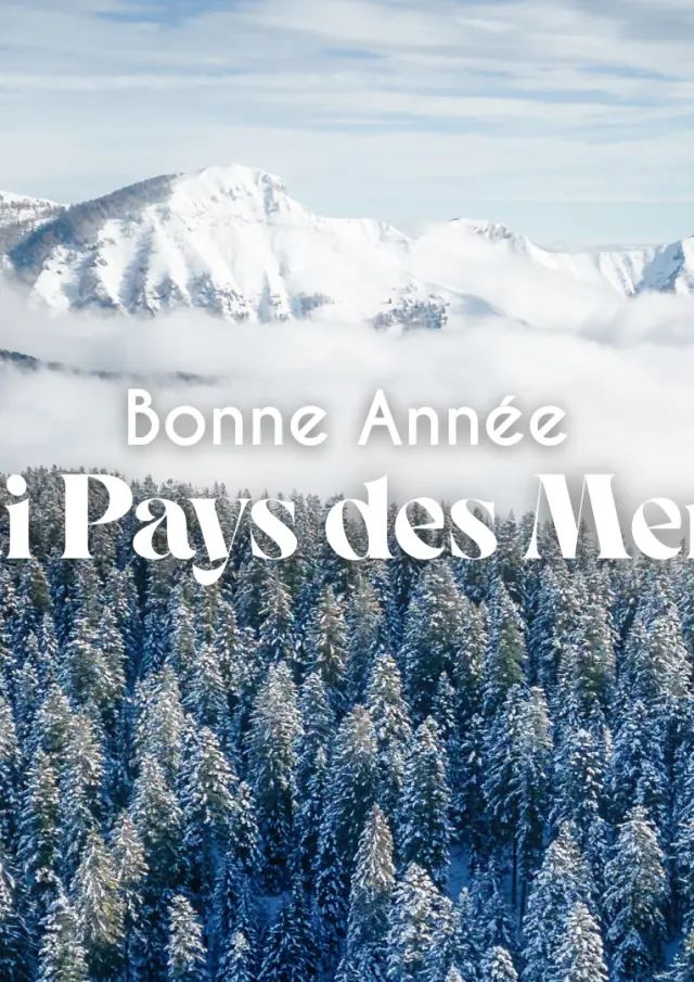 Bonne Annee 2025 Au Vrai Pays Des Merveilles Paysage Enneiges