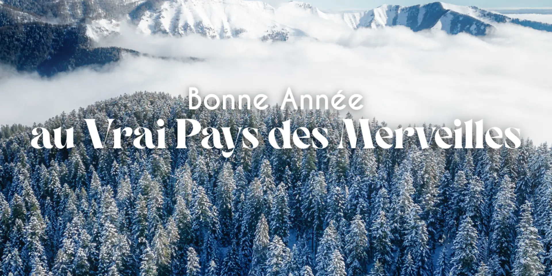 Bonne Annee 2025 Au Vrai Pays Des Merveilles