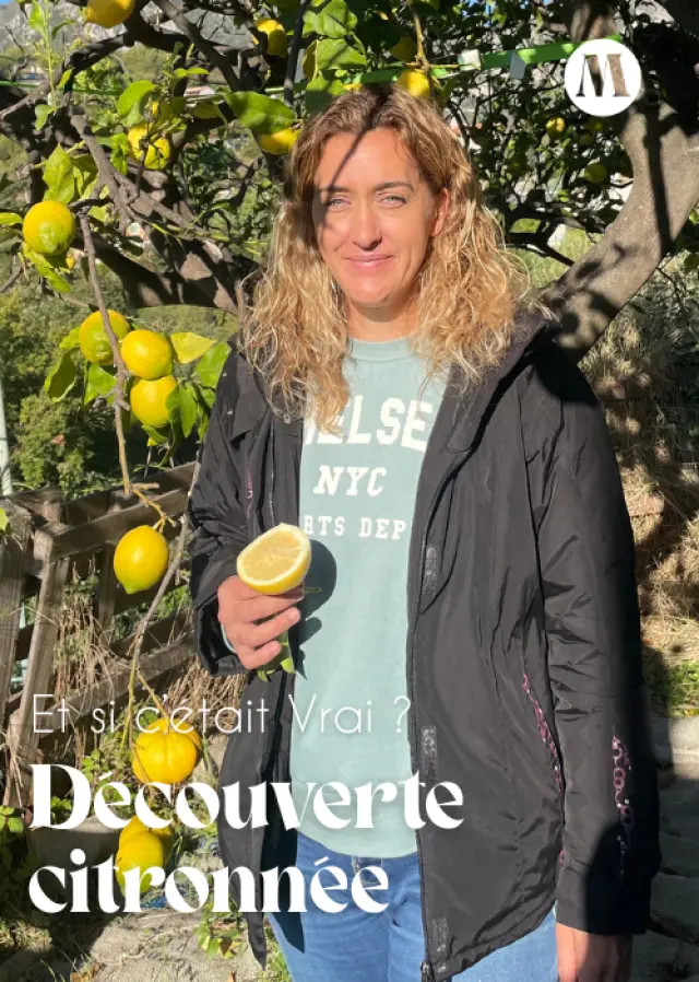 Agrumicultrice Menton - Merveilleux