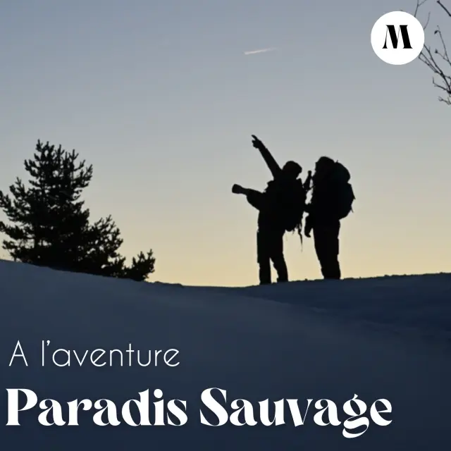 Miniature Newsletter Janvier 2026