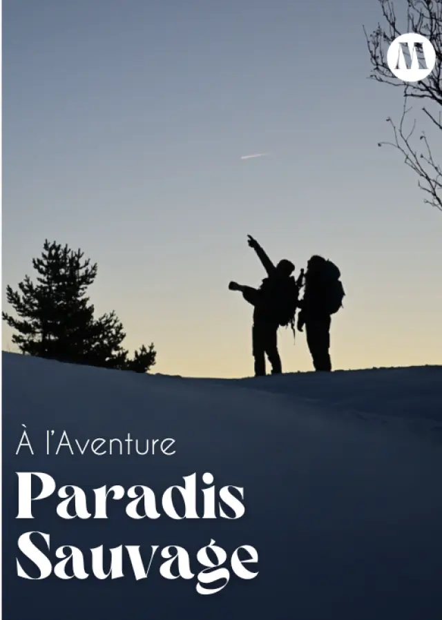 Miniature Newsletter Janvier 2026 Vertical