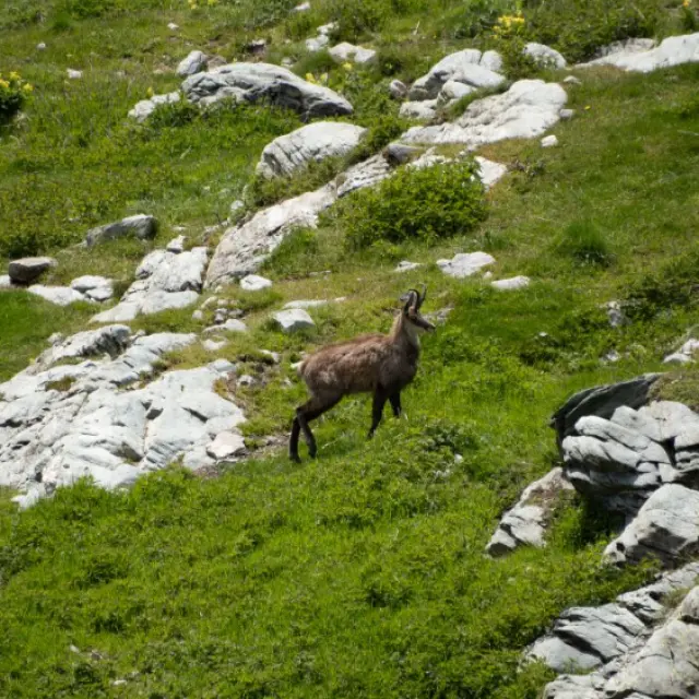 Instagram Sabrinagoeury.photographe