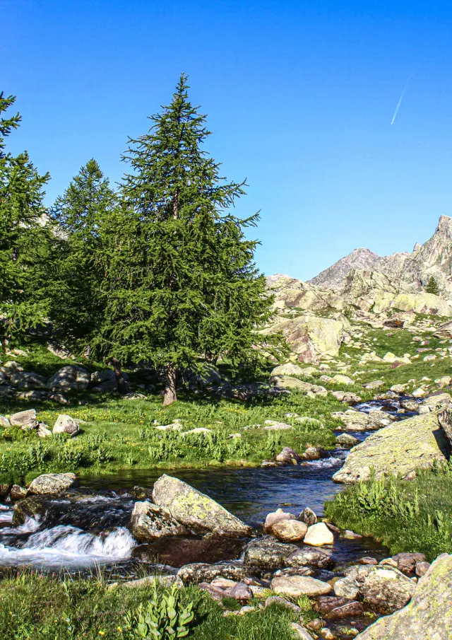 Parc National Du Mercantour Vincent Jacques Drone De Regard