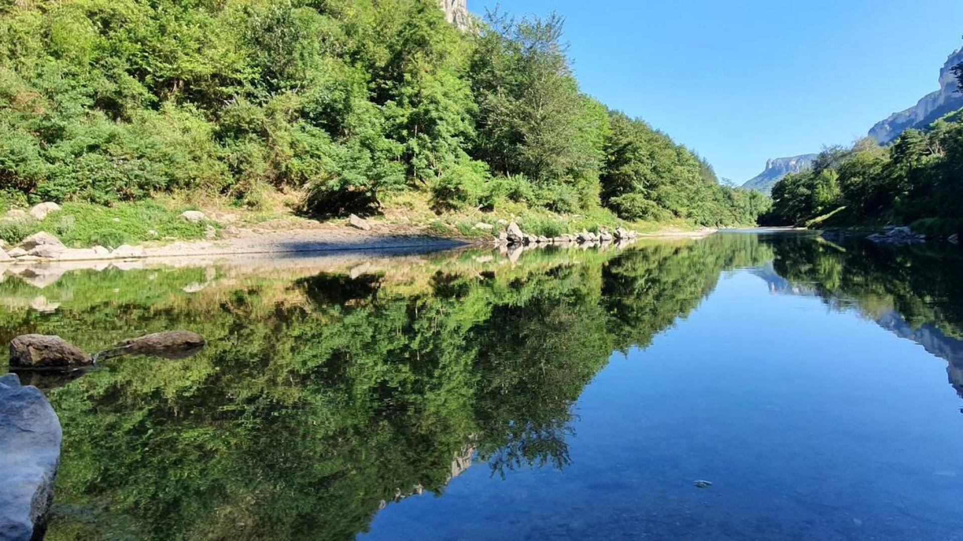 Reflejos de los árboles que bordean el Tarn