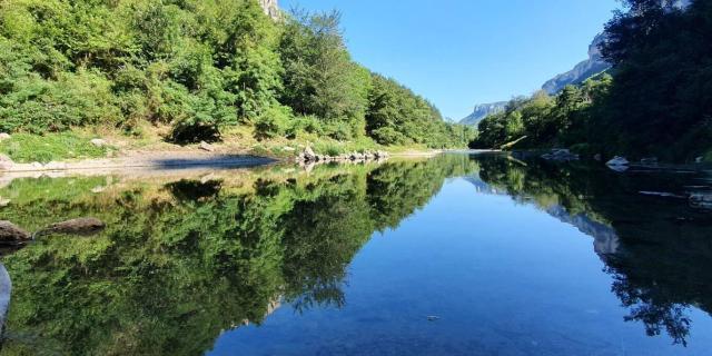 Reflejos de los árboles que bordean el Tarn