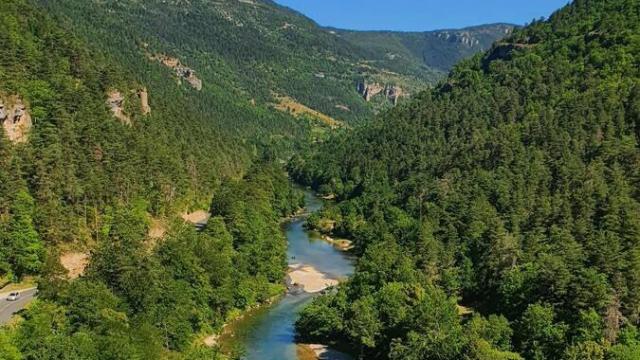 Dans les Gorges du Tarn en Direction des Vignes