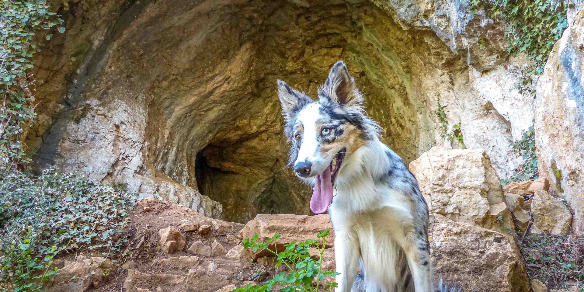 Grotte Du Hibou Aventure 2 Laetitia Raisin Robert