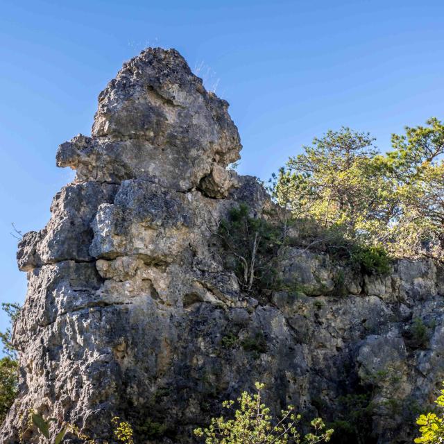 Aventure Théâtre D'ombre Cité De Pierres 10©laetitia Raisin Robert