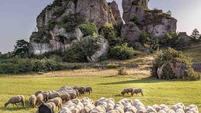 Sur Les Traces Du Berger Avontuur 11 Roquesaltes Laetitia Rozijn Robert