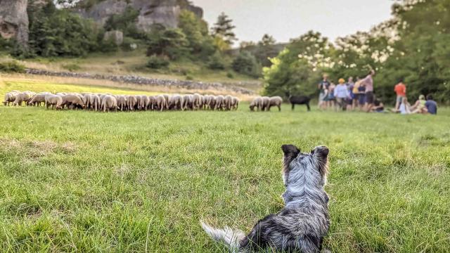 Sur Les Traces Du Berger Avontuur 15 Roquesaltes Laetitia Rozijn Robert