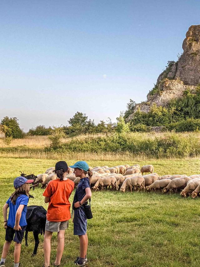 Sur Les Traces Du Berger Aventure 16 Roquesaltes Laetitia Raisin Robert